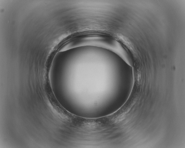 X0000089660540200706211131