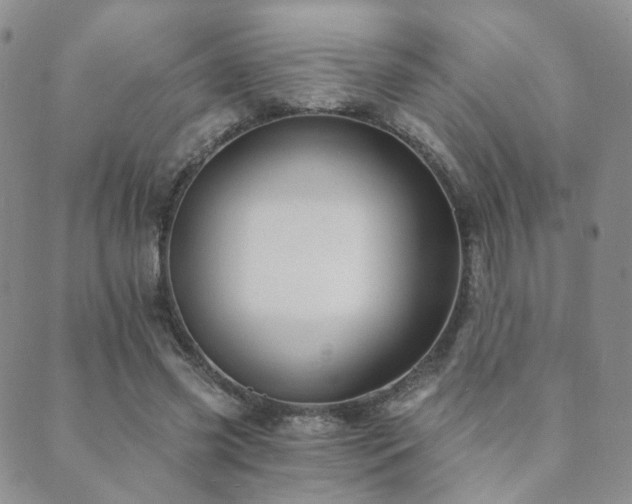 X0000089660541200706211131