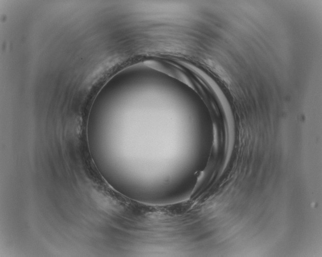 X0000089660544200706211131