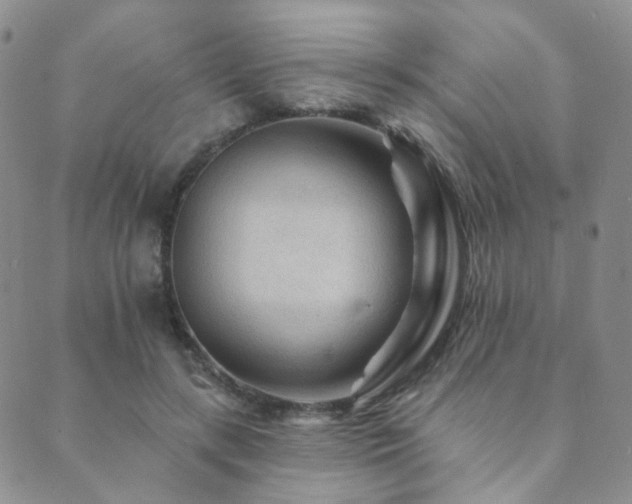 X0000089660547200706211131