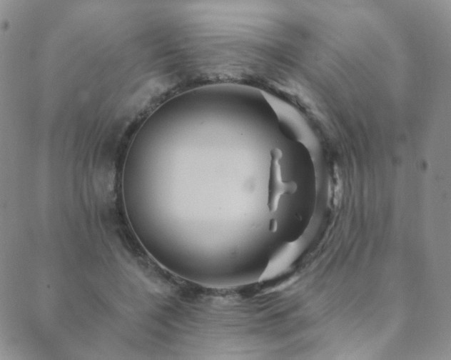 X0000089660548200706211131