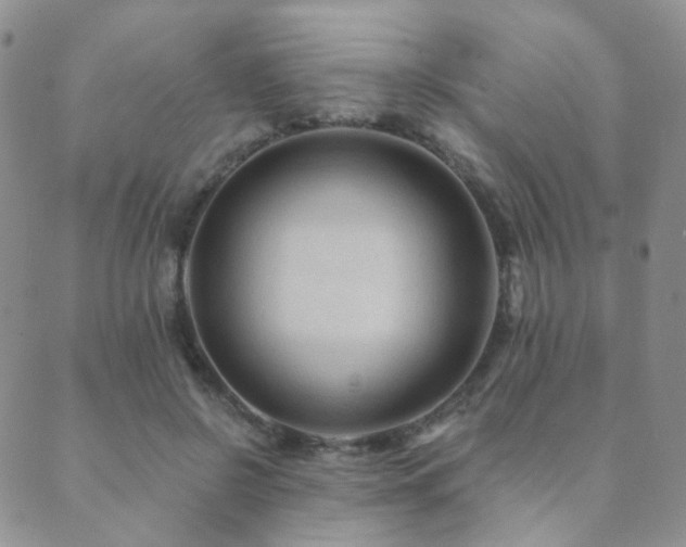 X0000089660550200706211131