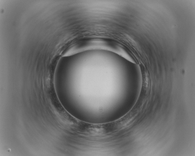 X0000089660552200706211131