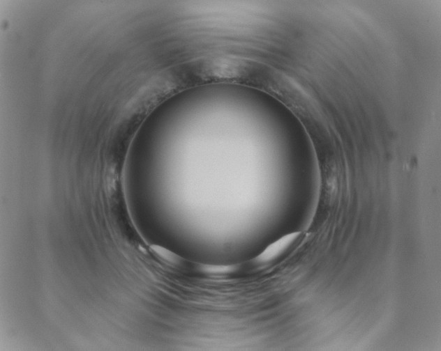 X0000089660555200706211131