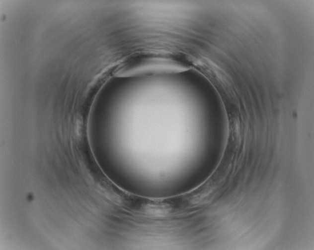 X0000089660556200706211131