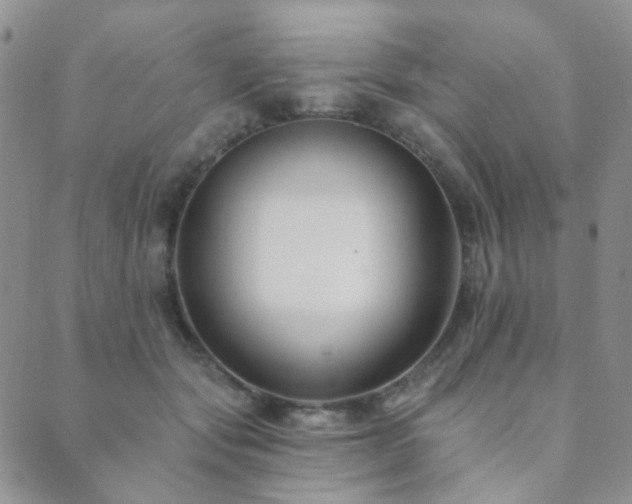 X0000089660557200706211131