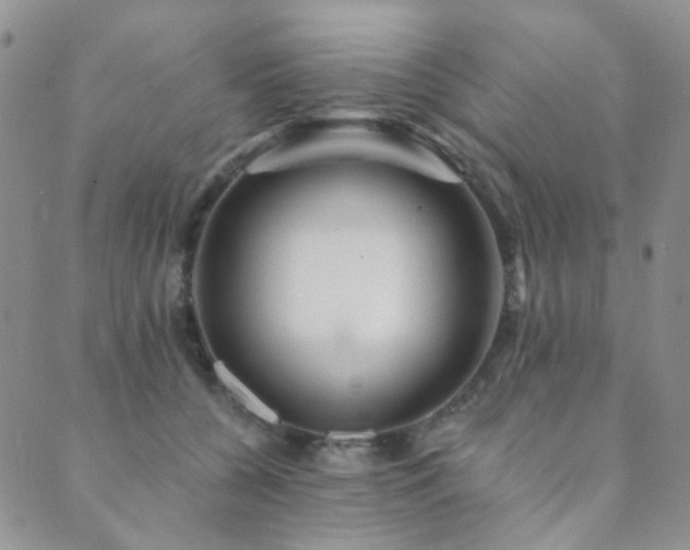 X0000089660560200706211132