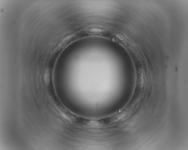 X0000089660562200706211132