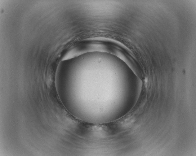 X0000089660566200706211132