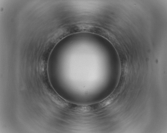 X0000089660567200706211132