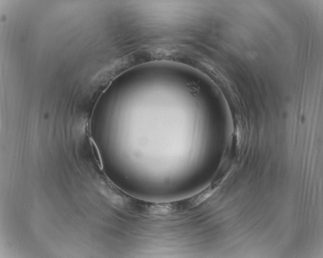 X0000089660574200706211132