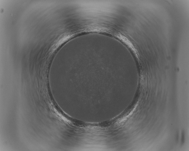 X0000089660577200706211131