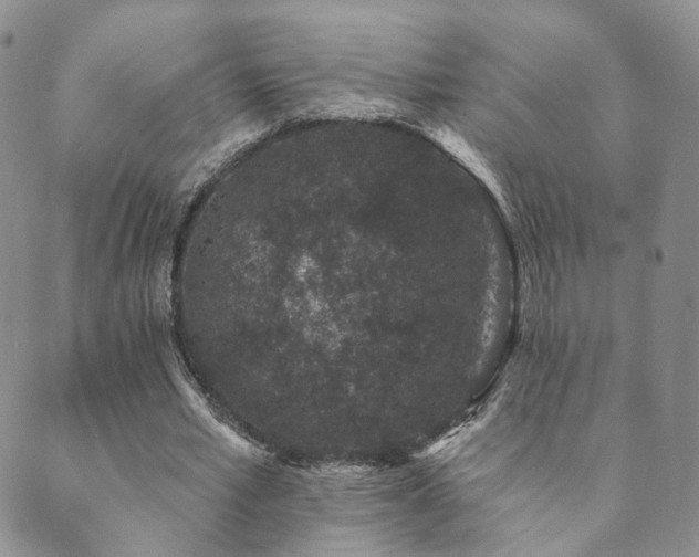 X0000089660581200706211131