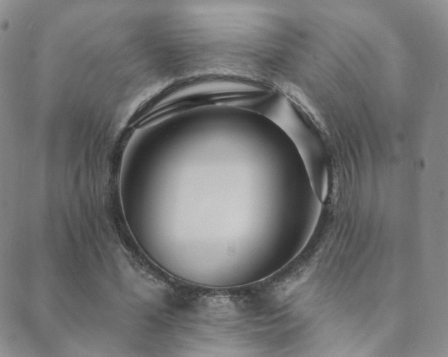 X0000089660588200706211131