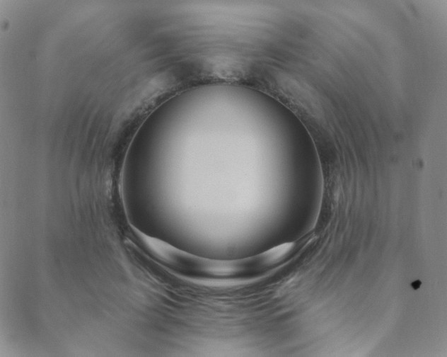 X0000089660595200706211131