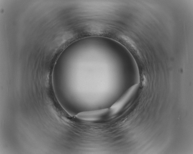 X0000089660596200706211131