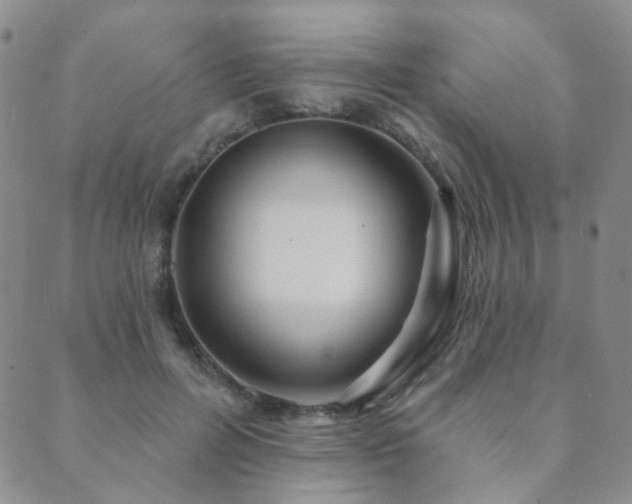 X0000089660600200706211131