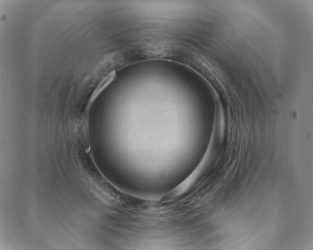 X0000089660601200706211131