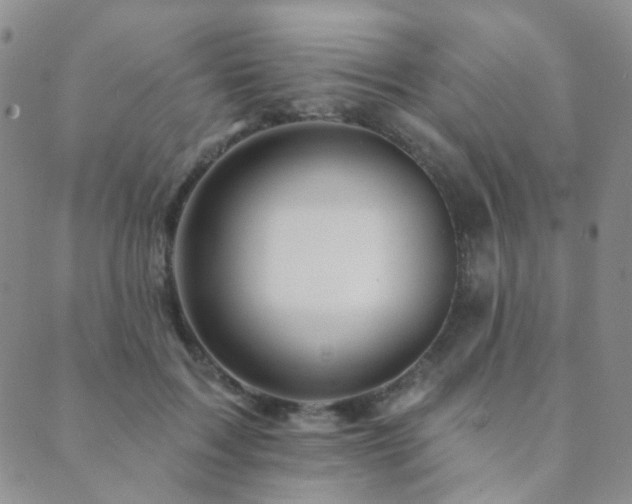 X0000089660603200706211131