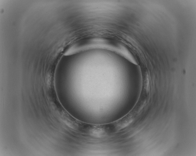 X0000089660604200706211131