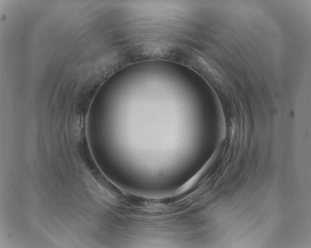 X0000089660605200706211131