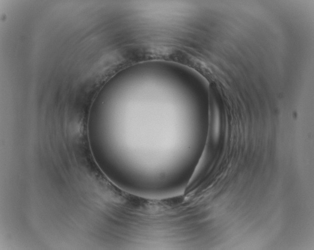 X0000089660608200706211130