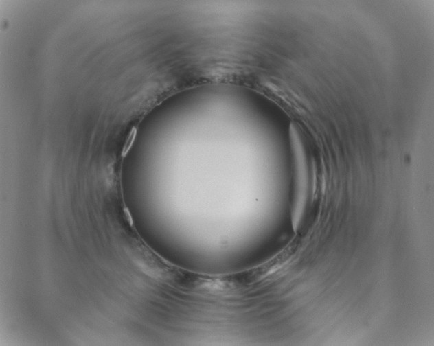 X0000089660611200706211130