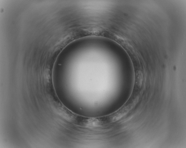 X0000089660612200706211130