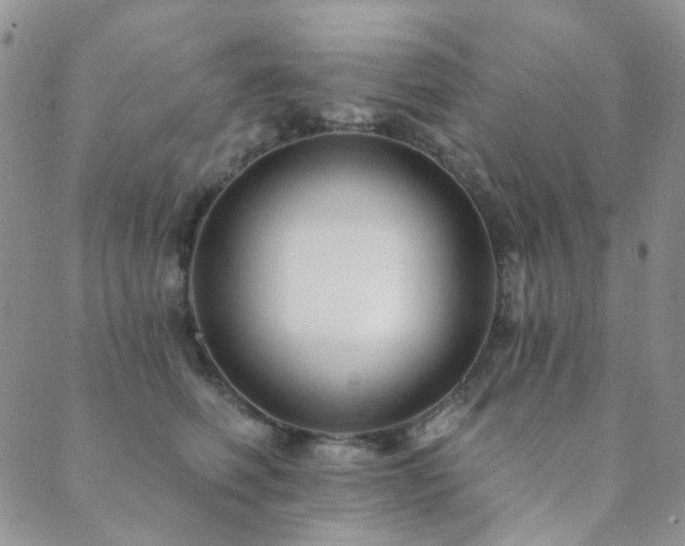 X0000089660614200706211130