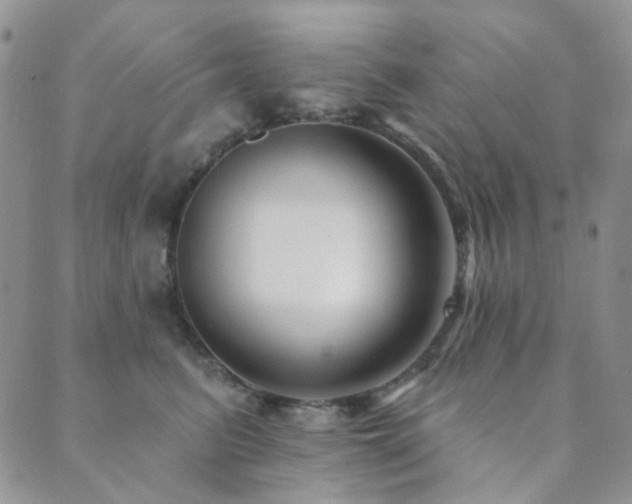 X0000089660615200706211130