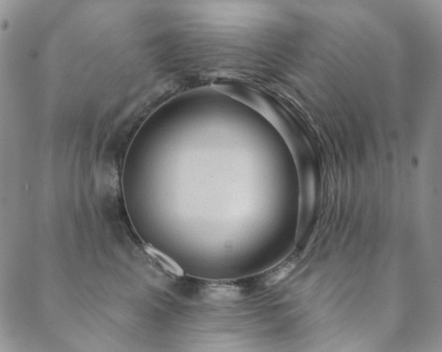 X0000089660617200706211130