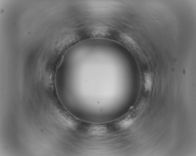 X0000089660619200706211130