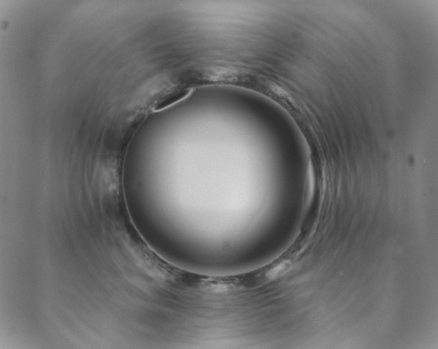 X0000089660620200706211130