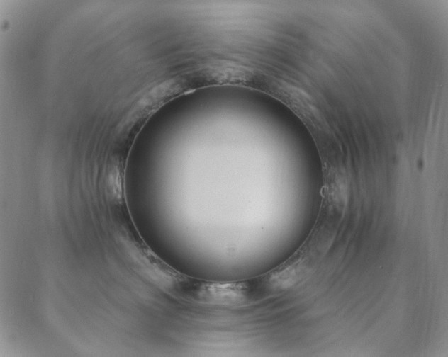 X0000089660622200706211130
