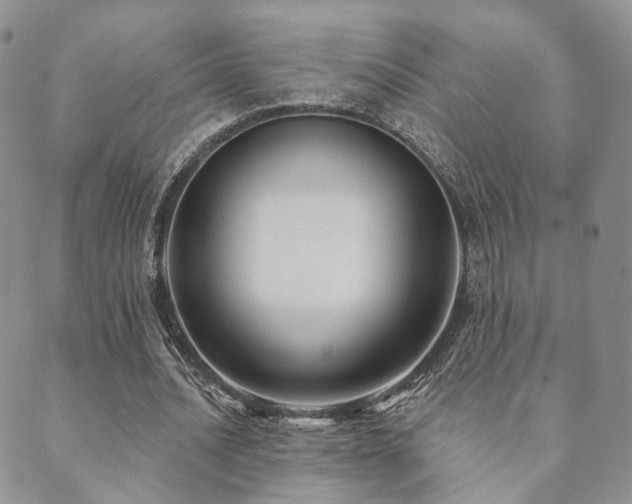 X0000089660628200706211130