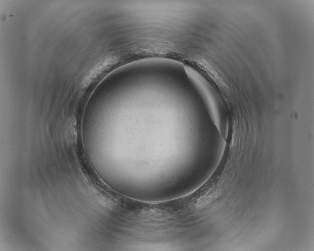 X0000089660634200706211130