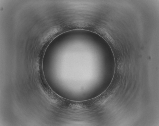 X0000089660635200706211130