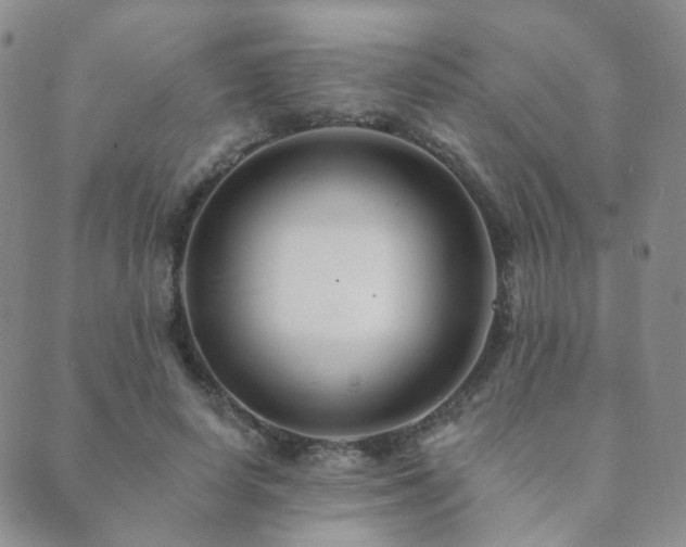 X0000089660642200706211130