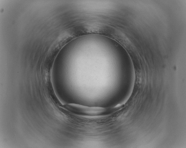 X0000089660648200706211130