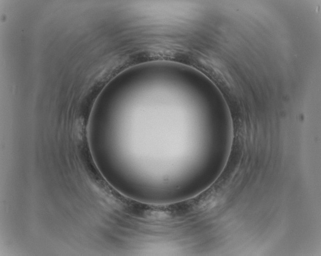 X0000089660649200706211130