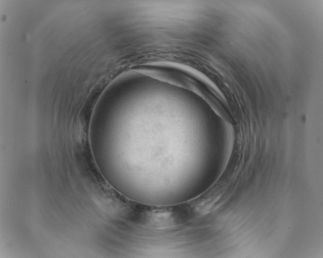 X0000089660651200706211130