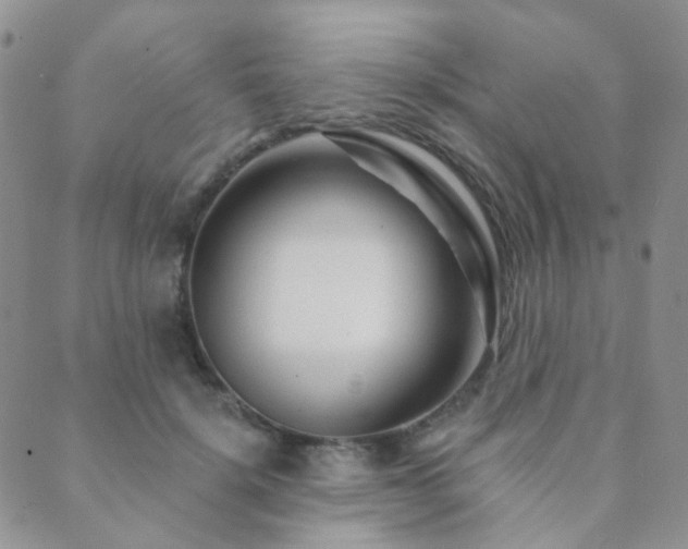 X0000089660652200706211130