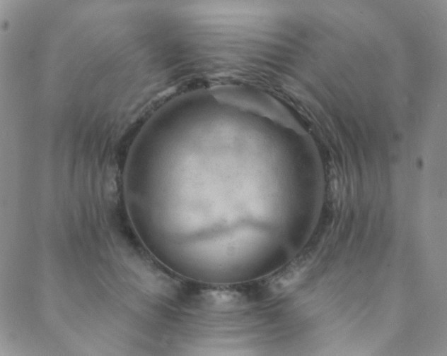 X0000089660654200706211130