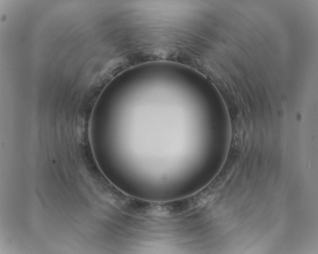 X0000089660656200706211130