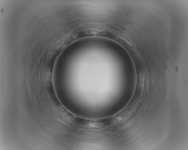X0000089660657200706211130