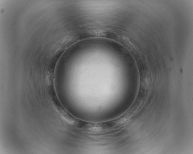 X0000089660658200706211130