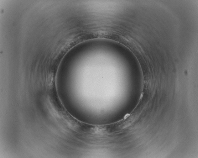 X0000089660660200706211130