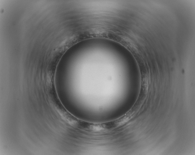 X0000089660662200706211130