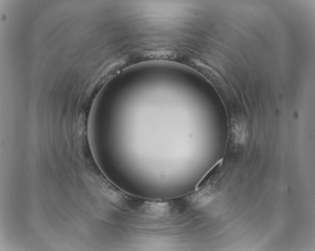 X0000089660665200706211130