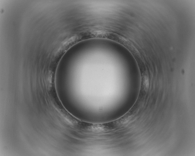 X0000089660668200706211130